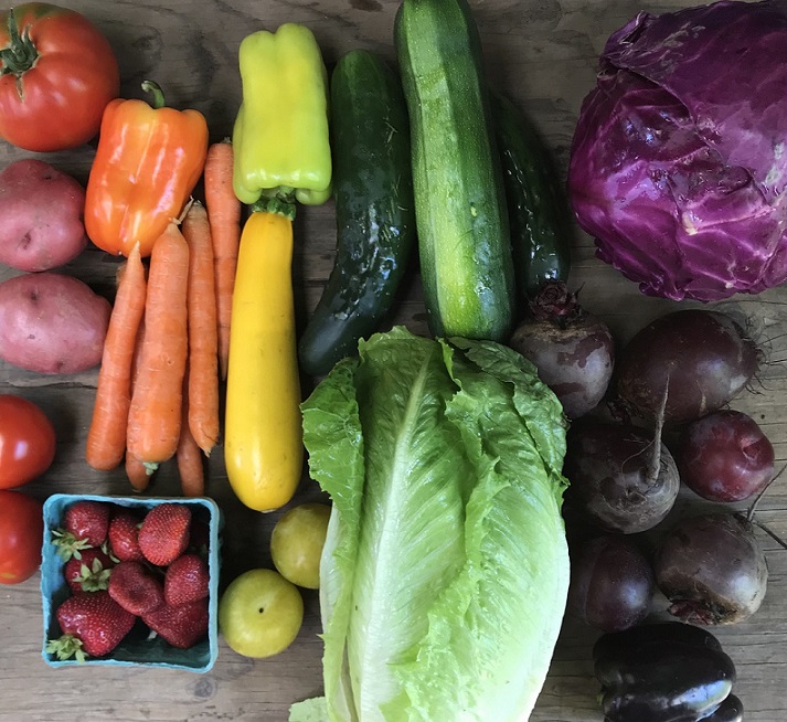 red potatoes, tomatoes, strawberries, orange sweet pepper and carrots, yellow squash and green applies, green lettuce and zuchini, beets and red cabbage. eat the rainbow.