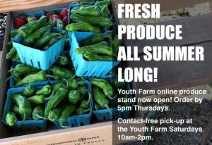 fresh produce all summer long youth farm online produce stand now open. order by 5 pm thursdays. contact-free pick-up at the Youth Farm Saturdays 10 am-2 pm