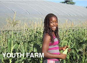 a young person smiles holding an ear of corn outdoors
