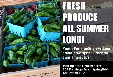 fresh produce all summer long! youth farm online produce stand now open! order by 5 pm Thursdays. Pick up at the Youth Farm, 705 Flamingo Ave., Springfield, Saturdays 10-2