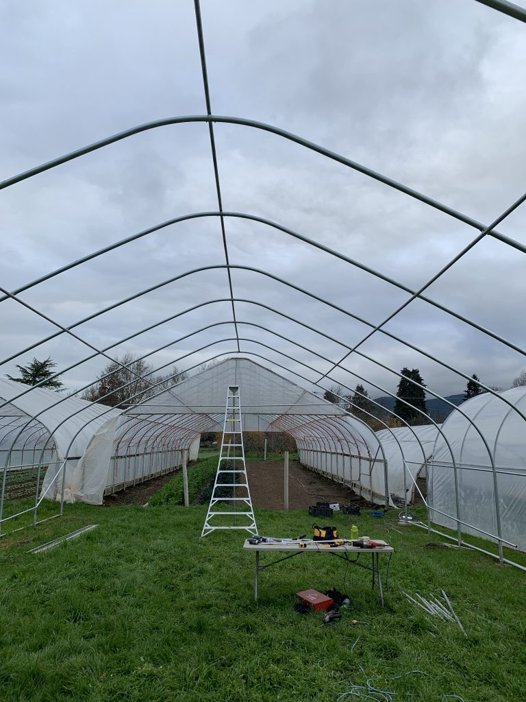 view from inside the grow tunnel with an open roof; table, tools and ladder pictured ahead above grass